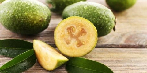 Prednosti i štete od feijoe